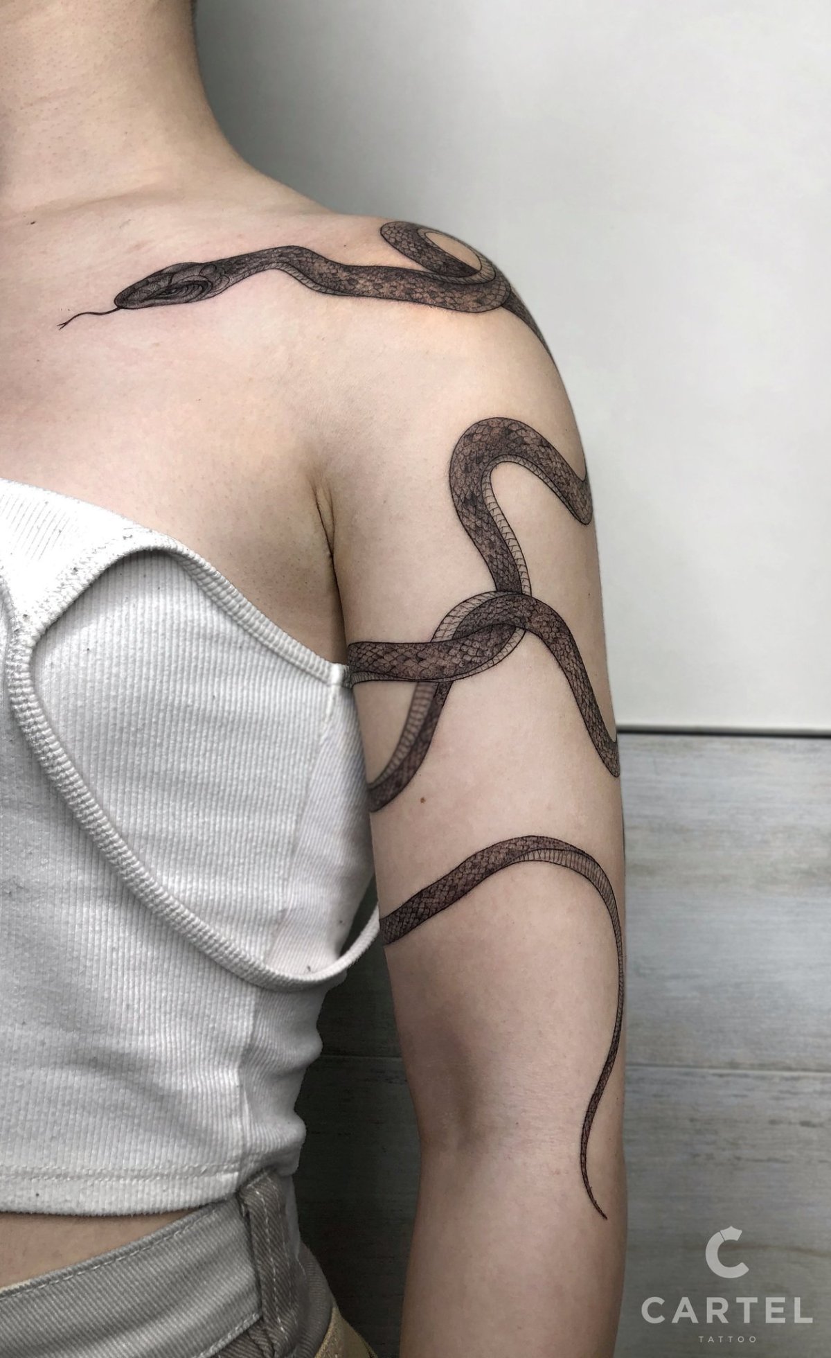 Татуировка змея на плече - 74 фото 37 Татуировка змея на плече - 74 фото 37 тату