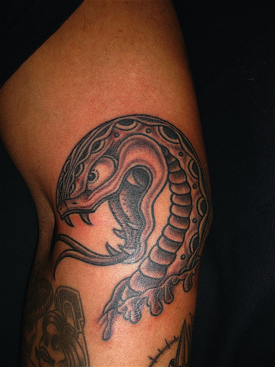 Татуировка змея на плече - 74 фото 57 Татуировка змея на плече - 74 фото 57 тату