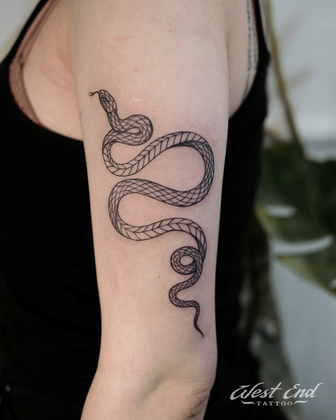 Татуировка змея на плече - 74 фото 70 Татуировка змея на плече - 74 фото 70 тату