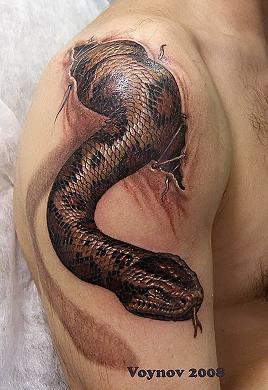 Татуировка змея на плече - 74 фото 36 Татуировка змея на плече - 74 фото 36 тату