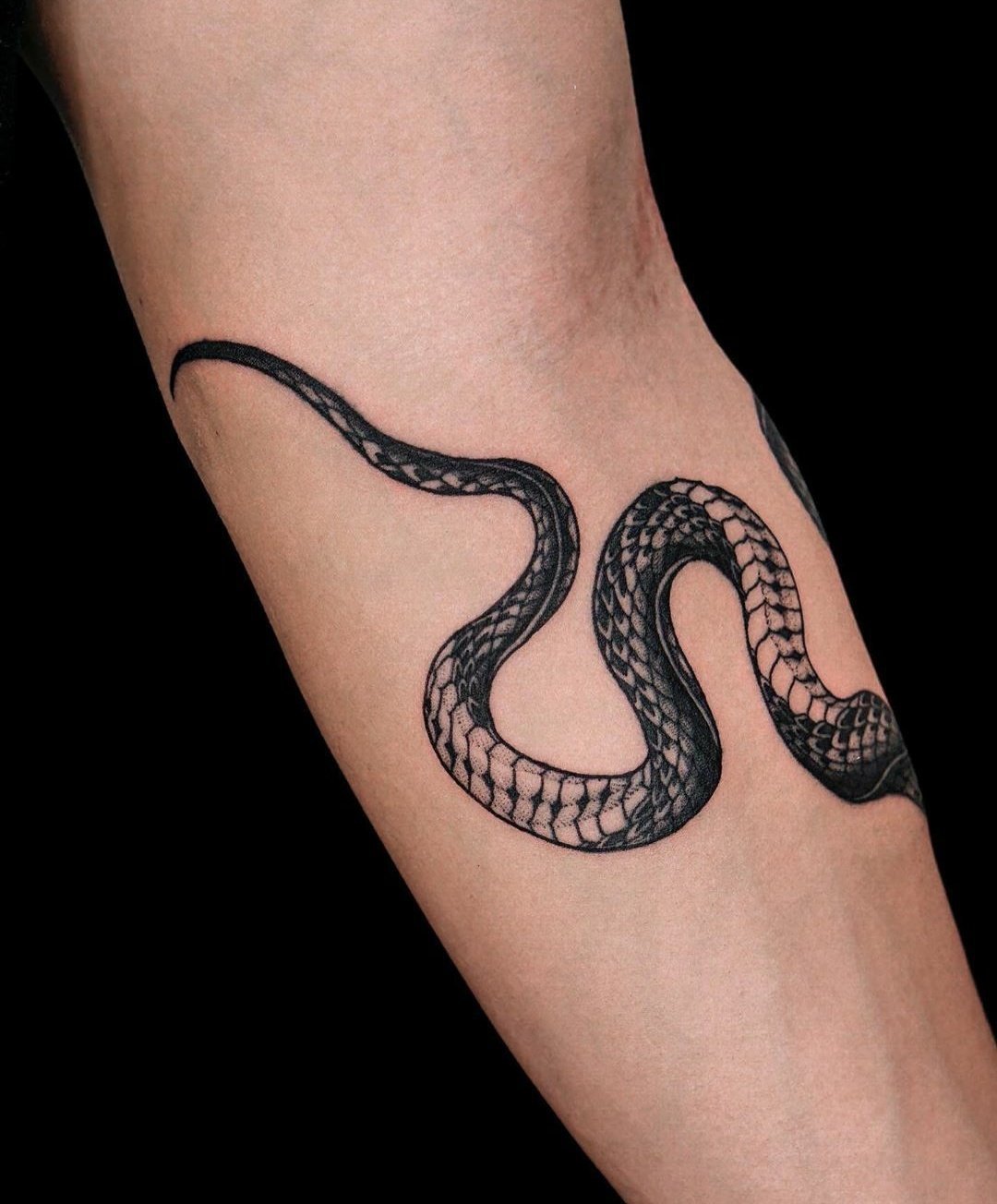 Татуировка змея на плече - 74 фото 53 Татуировка змея на плече - 74 фото 53 тату